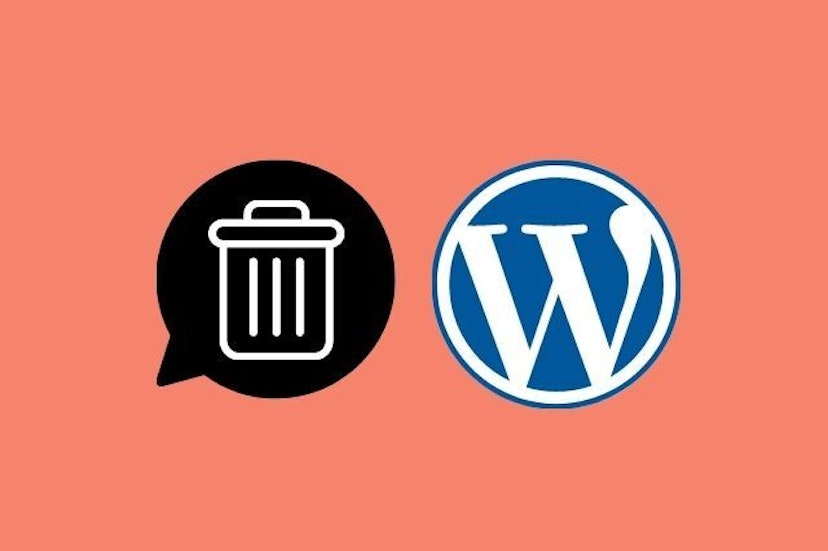 cover image for How to Delete all Spam Comments in WordPress?